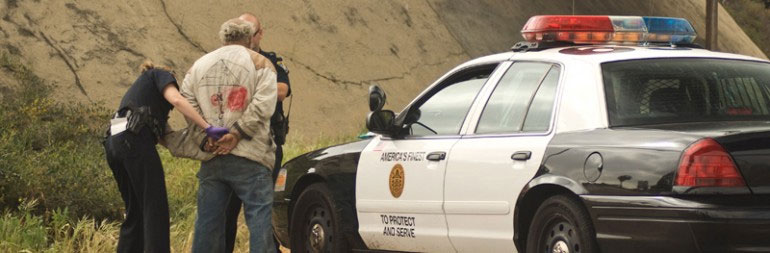 ASFUS Dedicated Patrol Vehicles